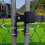Chain Link Double Gate  for 1-3/8inch Gate Frames,Farm Gate  Strong Arm Double Gate  for Swing Gates 5