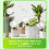 Système D'Irrigation Goutte à Goutte Automatique 500 Ml - Boule D'Irrigation pour Pots de Fleurs 6