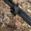 200pcs Pressure Compensating Drip Emitters 2L/4L/8L Drip Irrigation Emitters Garden Irrigation System 2L 5