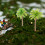 miniature palm tree Scene Layout Artists Green Plastic 12-Pcs for Train Track Models 6