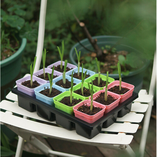 Σειρά Seedling Success: Κιτ εκκίνησης σπόρων με διαφανές κάλυμμα και οπές αποστράγγισης 1