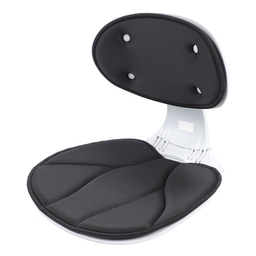 Ergonomic Lumbar Support Cushion Black