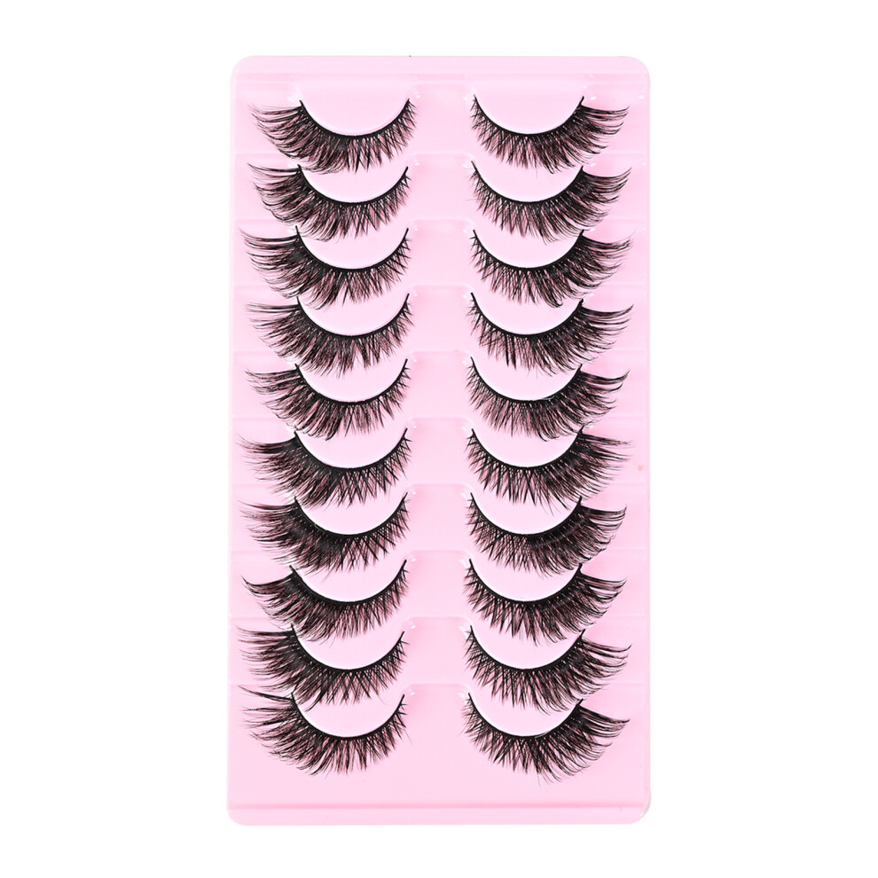 Roc-Electron (10 Pairs Of False Eyelashes) Natural False Eyelashes For Beauty & Cosplay
