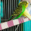 Parrot Grinding Stick Pink White 1 Piece 10 Inch 7