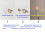 Multifunction Touch Activated Switches With 4mm-Touch to open 2