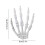 Decor realist cu schelet de mână, 12,5 cm, plastic 2