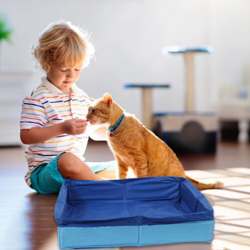 Foldable Dog Pool Plastic Portable Swimming Tub 2
