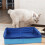 Foldable Dog Pool Plastic Portable Swimming Tub 4