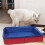 Foldable Dog Pool Plastic Portable Swimming Tub 7