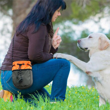 Treat Pouches for Pet Training Dog Treat Shoulder Pouch for Pet Training Adjustable Snacks Holder Large Capacity B
