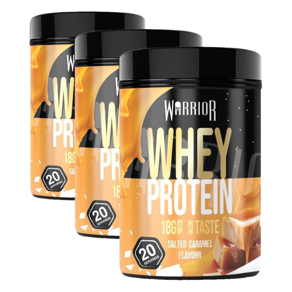 Warrior Whey Protein Powder 500G 20 Servings – High Protein Shake Supplement