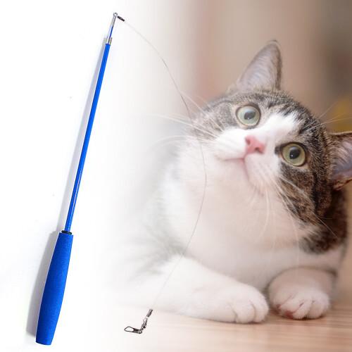 (Blue) Retractable Dog Teaser Toy for Active Pets