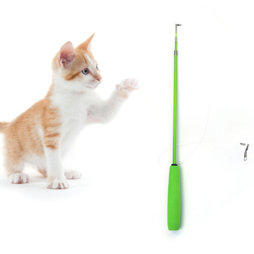 (Green) Retractable Dog Teaser Toy for Active Pets