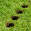 Multipurpose Yard Hole Maker And Grass Removal Kit For Gardening 7
