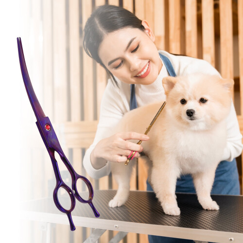 Dog Grooming Scissors Ergonomic Handle Curved 7.5 Inch 1