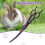 Dog Grooming Scissors Ergonomic Handle Curved 7.5 Inch 3