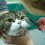Dog Grooming Scissors Ergonomic Handle Curved 7.5 Inch 7