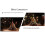 52mm Star 8X Starlight Camera Filter Point Star Effects Enhances Night Scenes & Light Sources 5