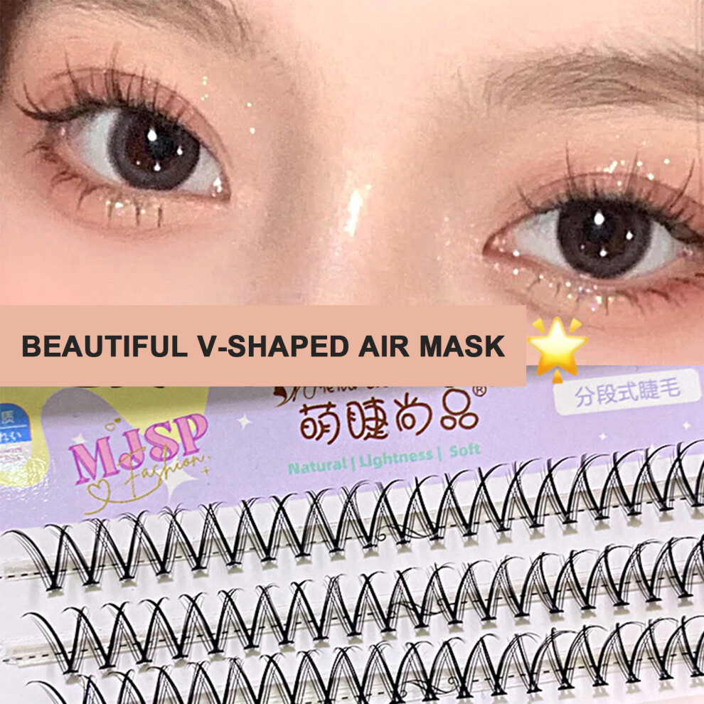 Roc-Electron Light (Eyelash V06) Fluffy Volume Lashes - Natural Look, Salon Use