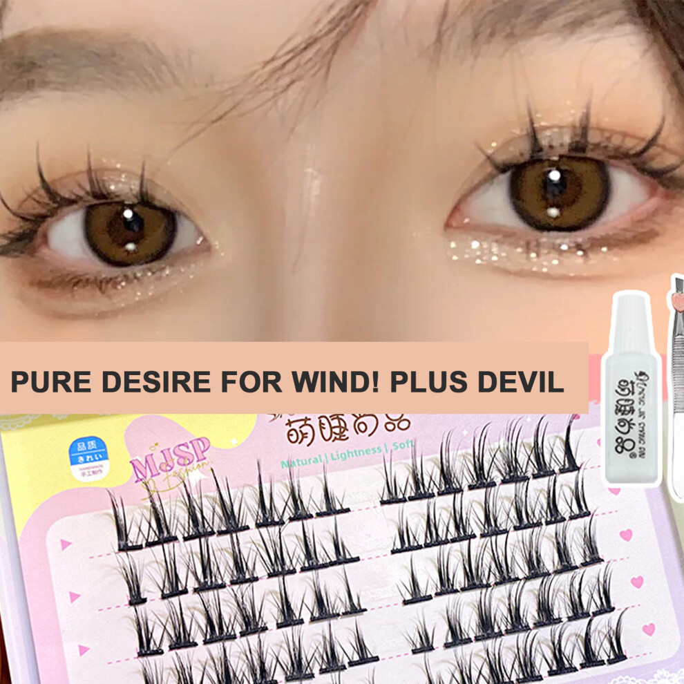 Roc-Electron Light (B09) Fluffy Volume Lashes - Natural Look, Salon Use