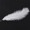 10 Pieces White Natural Ostrich Feather 20-25cm Wedding DIY 4