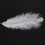 10 Pieces White Natural Ostrich Feather 20-25cm Wedding DIY 5