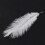10 Pieces White Natural Ostrich Feather 20-25cm Wedding DIY 6