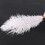 10 Pieces White Natural Ostrich Feather 20-25cm Wedding DIY 7