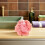 12Pcs Orange Mesh Pouf Bath Sponge - Soap Bar Loofah with Quick Drying 8