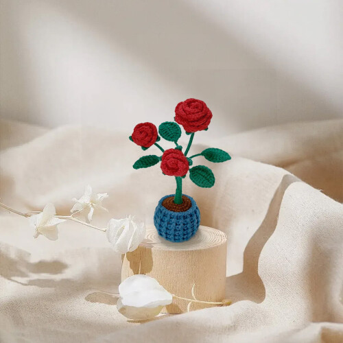 Beginner Crochet Kit with Step-by-Step Instructions and 2