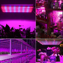 Inovativní LED světlo pro vnitřní pěstování s plným spektrem, pěstební lampa s garantovanou bezpečností materiálu, automatickým