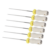 Stainless Steel Root Canal Files 25mm 6pcs Dental Endodontic Tool
