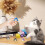 Kids Crochet Kit Penguin DIY with Guide and Video Tutorials 2