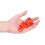 Adjustable Poultry Foot Rings 100pk 10