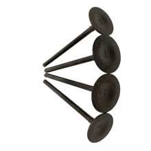 4Pcs Intake & Exhaust Valves Stem for KLX300 KLX300R 12004-1111, 12005-0031, BR250, Z250SL