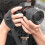 Camera Wrist Strap Handle for DSLR Cameras Secure Hand Grip for Digital SLR Models A 10