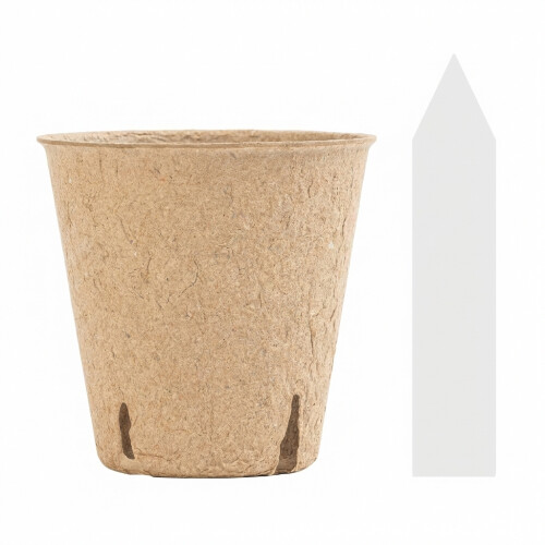 (8cm x 60 Pulp Pots 60 Labels) 3.1/4\" Biodegradable Seedling Pots - 60Pcs 1