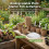 (8cm x 60 Pulp Pots 60 Labels) 3.1/4\" Biodegradable Seedling Pots - 60Pcs 3