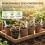 (8cm x 60 Pulp Pots 60 Labels) 3.1/4\" Biodegradable Seedling Pots - 60Pcs 8