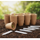 (8cm x 60 Pulp Pots 60 Labels) 3.1/4\" Biodegradable Seedling Pots - 60Pcs 9