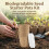 (8cm x 60 Pulp Pots 60 Labels) 3.1/4\" Biodegradable Seedling Pots - 60Pcs 11