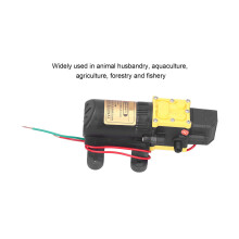 12V Durable Diaphragm Pump for Agriculture
