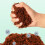 (2pcs) Coconut Coir Moss Reptile Substrate for Terrariums 2