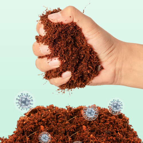 (2pcs) Coconut Coir Moss Reptile Substrate for Terrariums 1