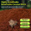 (2pcs) Coconut Coir Moss Reptile Substrate for Terrariums 3