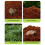 (2pcs) Coconut Coir Moss Reptile Substrate for Terrariums 10