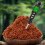 (2pcs) Coconut Coir Moss Reptile Substrate for Terrariums 13