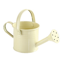 Durable Iron Mini Watering Can, 1.2L, 10x10x8cm, Red Blue Green Ivory