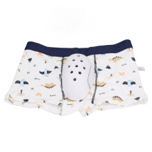 Kids Circumcision Underwear Cotton Boxer Briefs, Dinosaur Pattern, 160 Sizes
