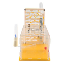 Insect Ant Nest T-Design Ant Nest T-Design Feeding Area Acrylic Farm Insect Villa House Ant Nest Birthday Present Gift